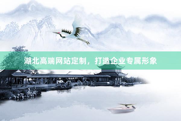 湖北高端网站定制，打造企业专属形象