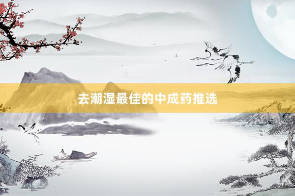 去潮湿最佳的中成药推选