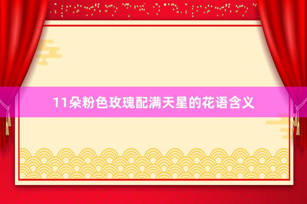 11朵粉色玫瑰配满天星的花语含义